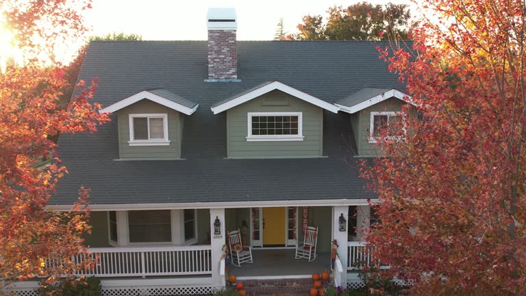 Best Roof Moss and Algae Removal  in Brooklyn, OH